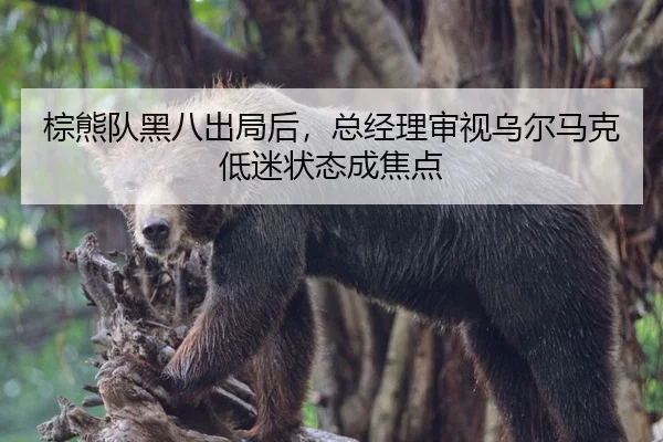 棕熊队黑八出局后，总经理审视乌尔马克低迷状态成焦点