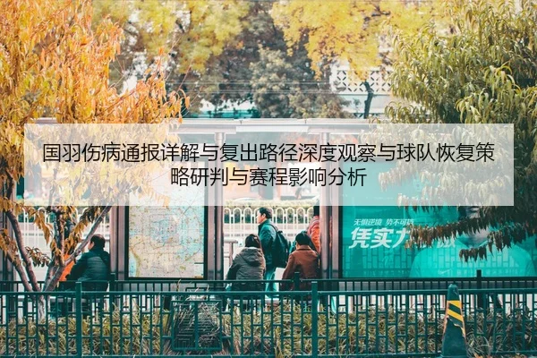 国羽伤病通报详解与复出路径深度观察与球队恢复策略研判与赛程影响分析 | Leyu