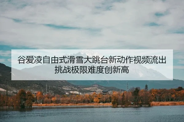 谷爱凌自由式滑雪大跳台新动作视频流出 挑战极限难度创新高 | Leyu